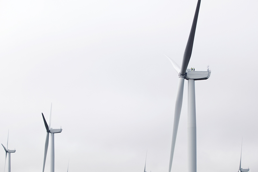wind farm