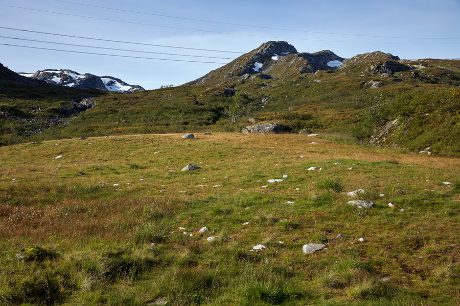Waste site